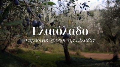 Ελαιόλαδο. Ο πράσινος χρυσός της Ελλάδας