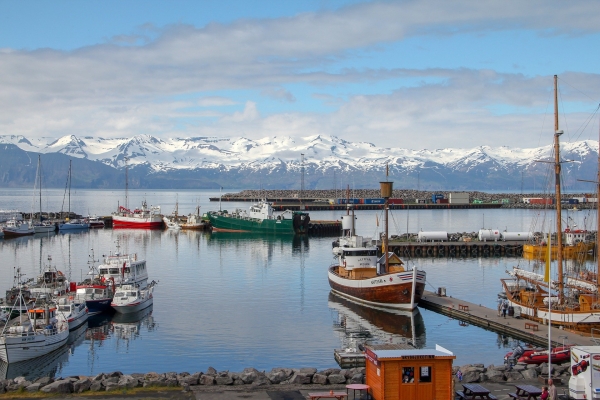 Ισλανδικό οδόφραγμα στην ύφεση και το ΔΝΤ